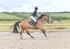BPP_1778