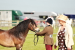 SBM_00461
