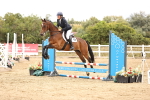 SBM_007436