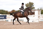 SBM_14464