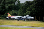 HARRIER 013