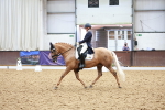 SBM_021499
