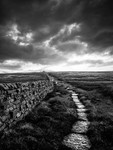 The Long Path Home