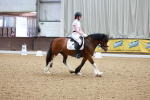 SBM_008519