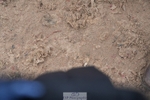 260315-132816-06267