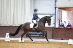 SBM_008184