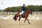 SBM_002990