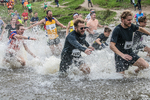 Dovedale Dash-103