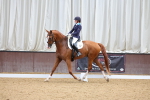 SBM_002270
