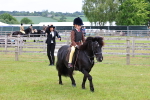 SBM_08565