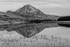Errigal Reflected