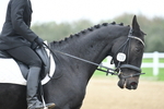 LAD_3581