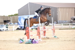 SBM_004081