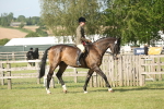SBM_10237