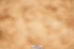240526A-114758-07898