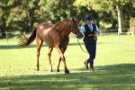 SBM_15795