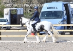 BPP_9313