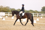 SBM_003076