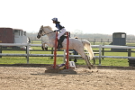 SBM_003411