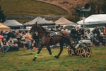 DSCF7144