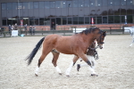 SBM_005962