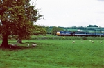 23rd May 1991