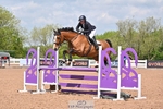 Cls 20 95cm Amateur Qualifier portfolio