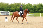SBM_006290