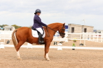 SBM_03820