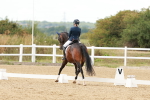 SBM_002175