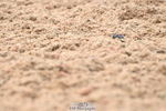 240621A-162715-06016