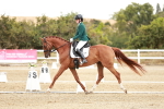 SBM_003392