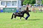 SBM_03423
