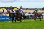 160926-Race 2-Northern Viola-9715
