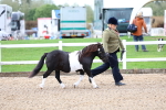 SBM_00242