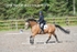 BPP_9565
