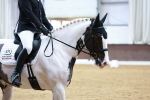 SBM_003339