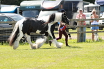 SBM_05550