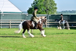 SBM_11393