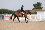 SBM_11463