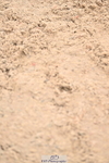 240501A-150415-01207