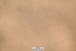 260730-153444-02291