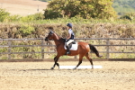 SBM_000697