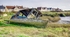 New & Old ~ Heybridge Basin, Essex
