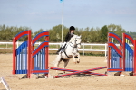 SBM_006839