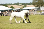 SBM_07148