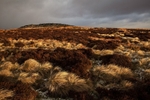 Stanage Edge, Peak District