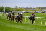 240424-Race 2-Restless Prince-7704