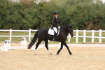 SBM_00946