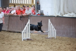 SBM_004329